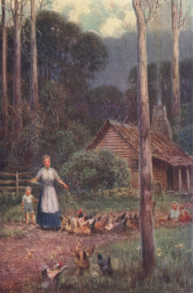 'A bush hut' by Percy Spence. Australia 1910 old antique vintage print picture